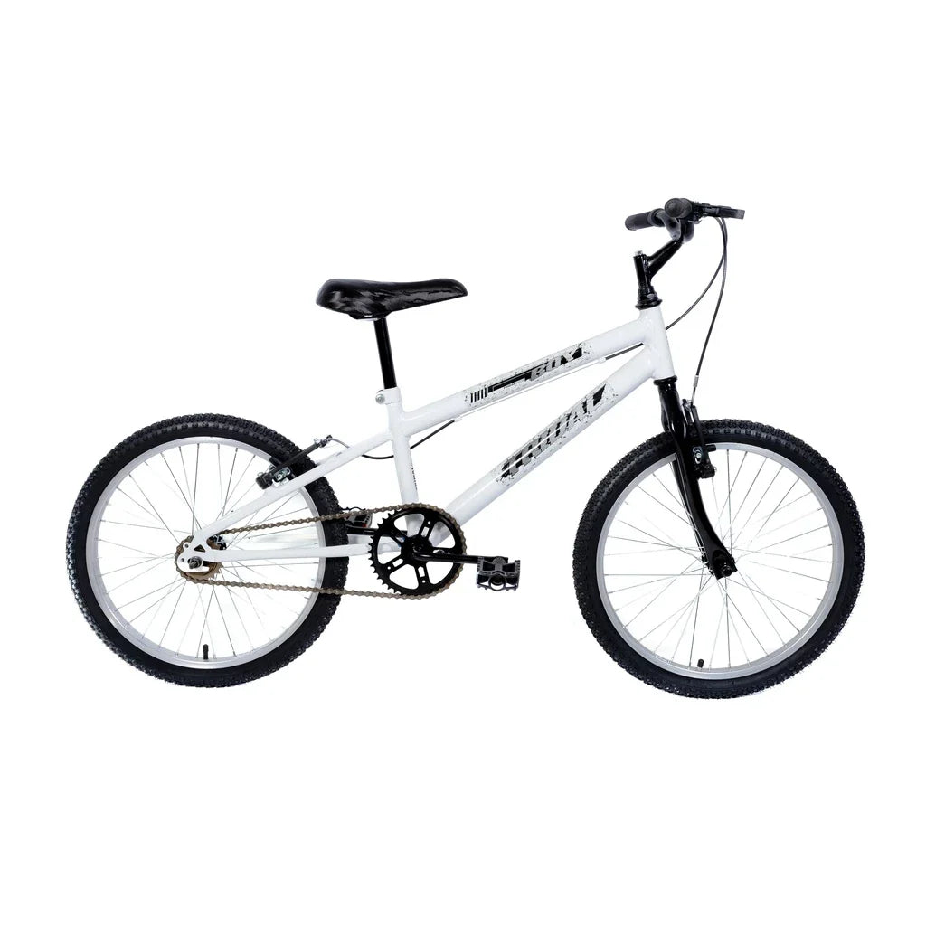 Bicicleta Aro 20 MTB Boy Infantil Tridal