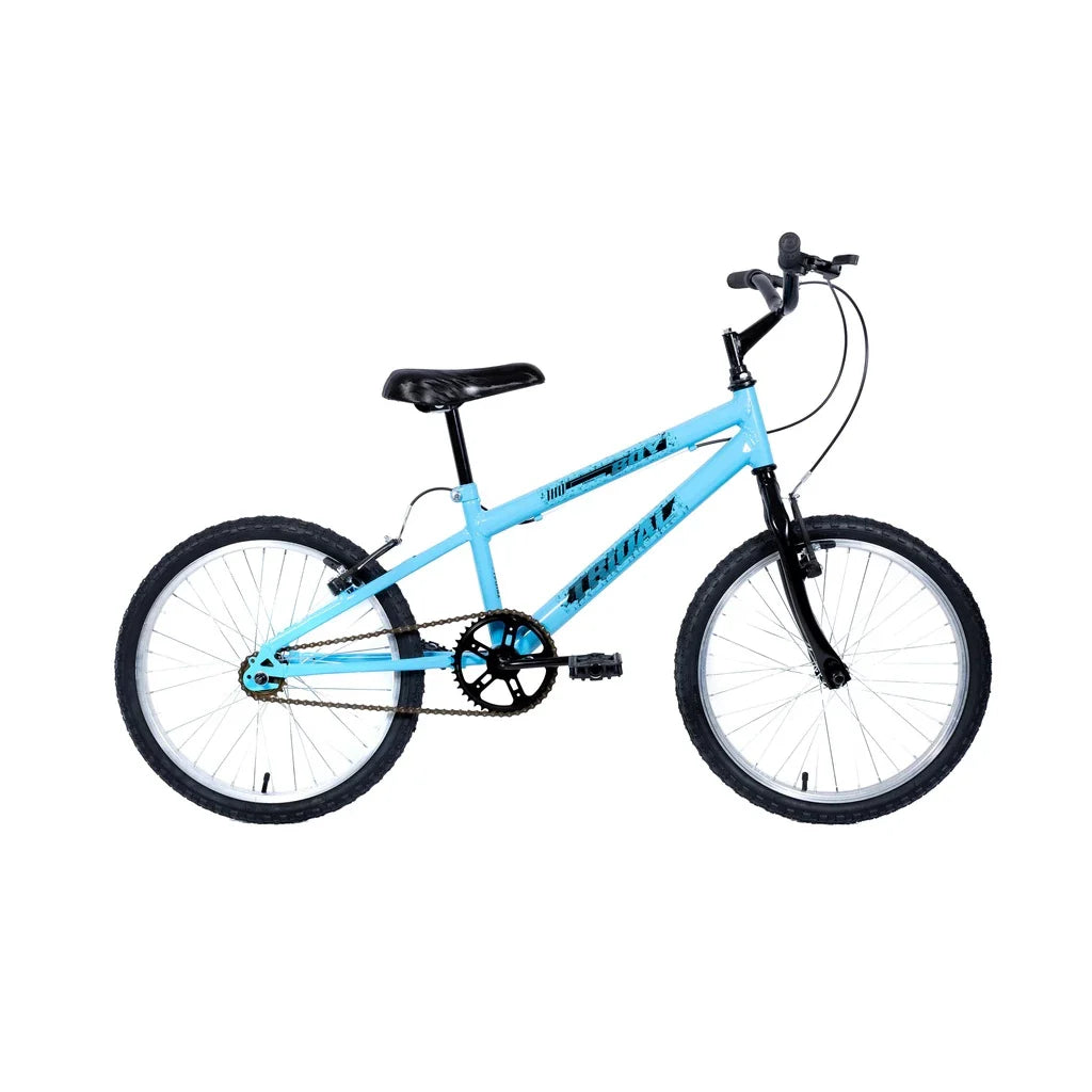 Bicicleta Aro 20 MTB Boy Infantil Tridal