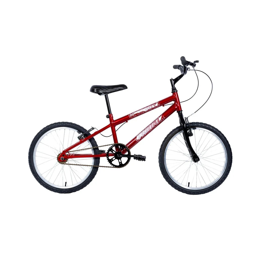 Bicicleta Aro 20 MTB Boy Infantil Tridal