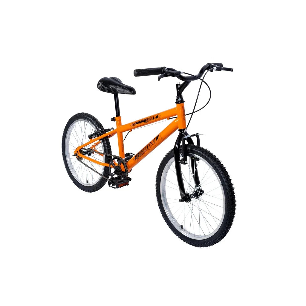 Bicicleta Aro 20 MTB Boy Infantil Tridal